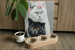 Миски для животных «Three line» - Описание