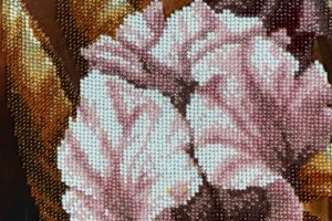 Іриси. Доставка за кошт магазину - Опис