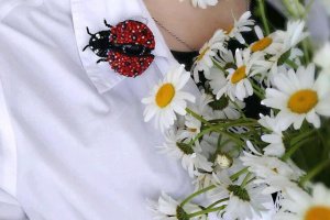 Брошка ′Сонечко′ - Опис