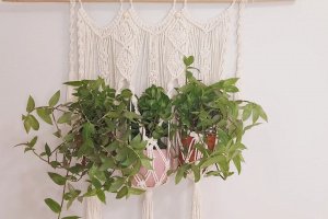 Підвісне кашпо для квітів або подвечніков - Опис