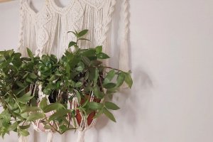 Підвісне кашпо для квітів або подвечніков - Опис