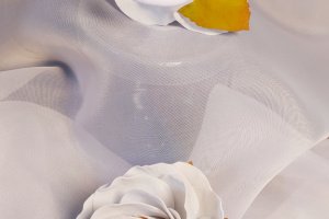 Резиночка с белой розой - Описание