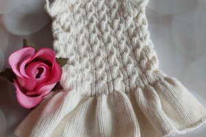 Платья для животных  - Описание