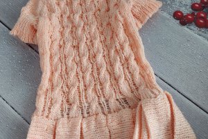 Платья для животных  - Описание