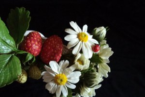 Букет с ромашками и клубникой - Описание