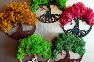 Магниты на холодильник - Описание