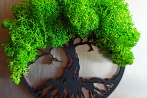 Магниты на холодильник - Описание