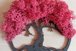 Магниты на холодильник - Описание