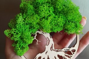 Магниты на холодильник - Описание