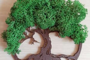 Магниты на холодильник - Описание