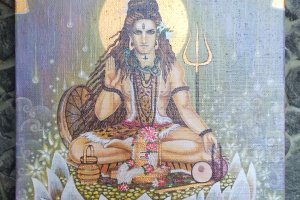 Шива на лотосі - Опис