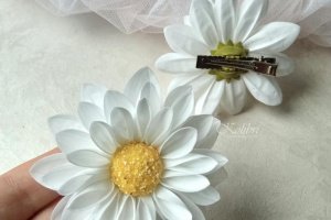 Заколки для волосся в школу - Опис