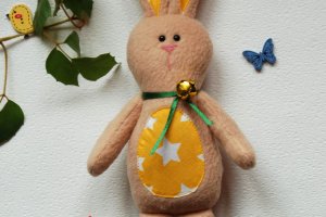 Яркий  зайчик - Описание