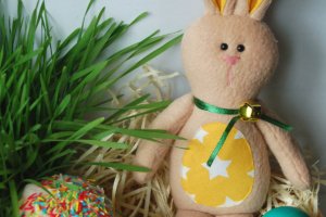 Яркий  зайчик - Описание