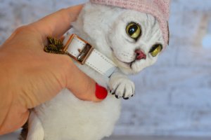 Кошка по фото - Описание