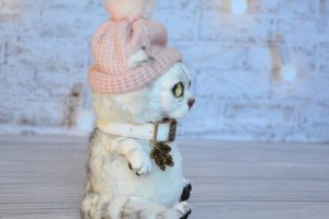 Кошка по фото - Описание