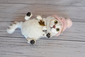 Кошка по фото - Описание