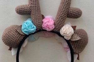 Обруч21 - Опис