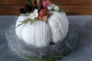 Тиковка, гарбуз - Опис