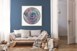 Ракушка - Описание