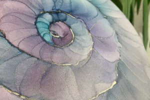 Ракушка - Описание