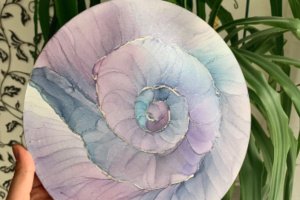 Ракушка - Описание