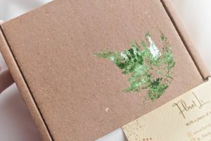 Закладка для книги с розового лепестка - Описание