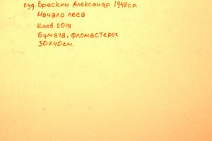 Начало леса - Описание