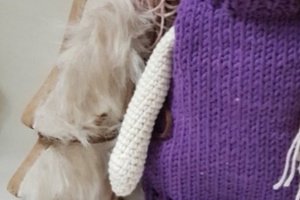 Кукла София - Описание