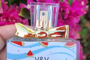 Парфуми Great Party від V&V Parfum - Опис