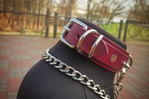 Нашийник з повідцем БДСМ - Опис