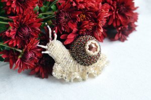 Брошка ручної роботи - "Равлик" - Опис