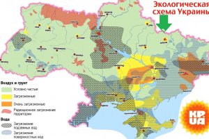 Витаминный взрыв! Cушеная малина, вишня, шелковица и абрикос - Описание
