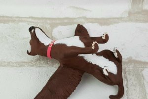 Пітбуль піт-бультер'єр собака пес портретна фігурка - Опис