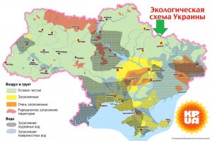 Вітамінний коктейль! Елітні сушена малина, вишня та абрикос - Опис
