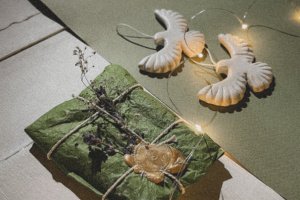 Горлиці - Опис