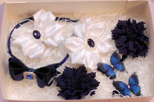 Набір біло-синій прикрас - Опис