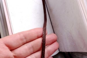 Гримуар с глазом - Описание