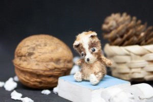 Работа Микро тедди в ореховой скорлупе