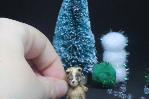 Мікро тедді у горіховій шкаралупці - Опис