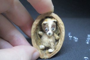 Мікро тедді у горіховій шкаралупці - Опис