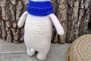 Полярний ведмедик - Опис