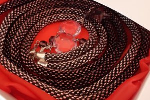 Ларіат - Опис