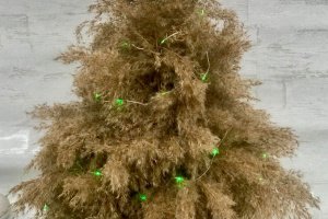 Елка из пампасной травы - Описание