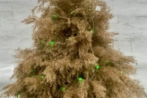 Елка из пампасной травы - Описание