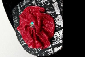 Радість - Опис