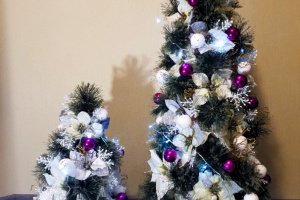 Ялинки -сестрички . - Опис