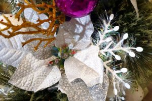 Ялинки -сестрички . - Опис