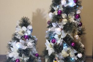 Ялинки -сестрички . - Опис