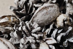 Венок ,, Merry Christmas,,  - Описание